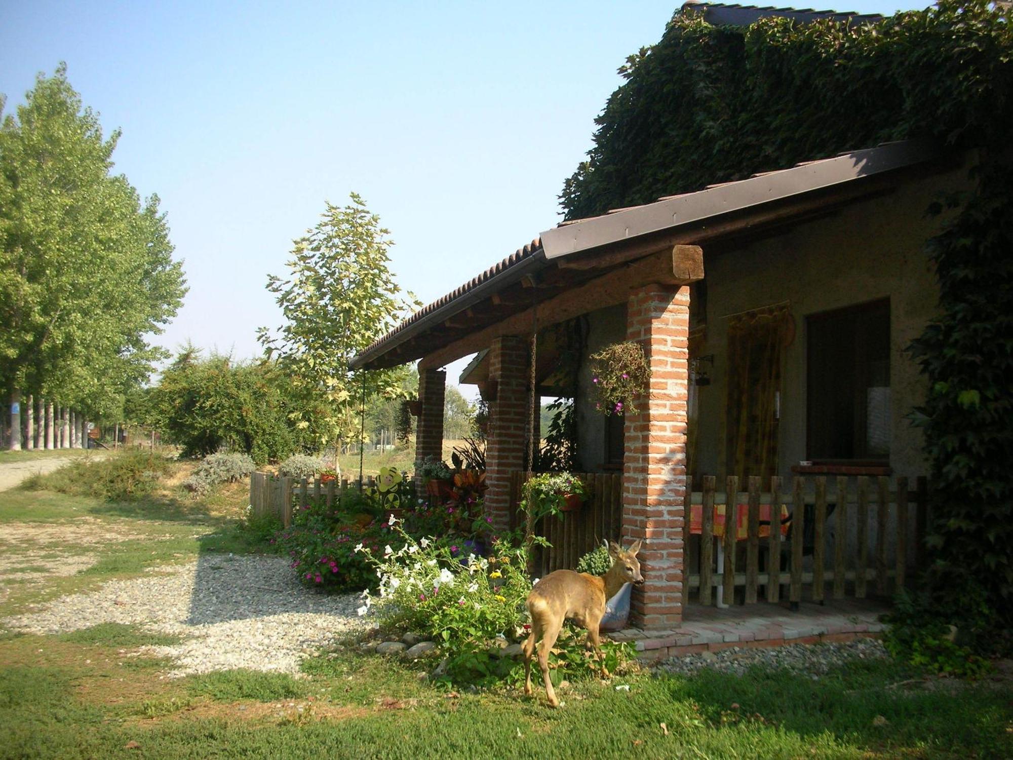 Villa Cascina Beneficio Castelnuovo Bormida Exterior foto